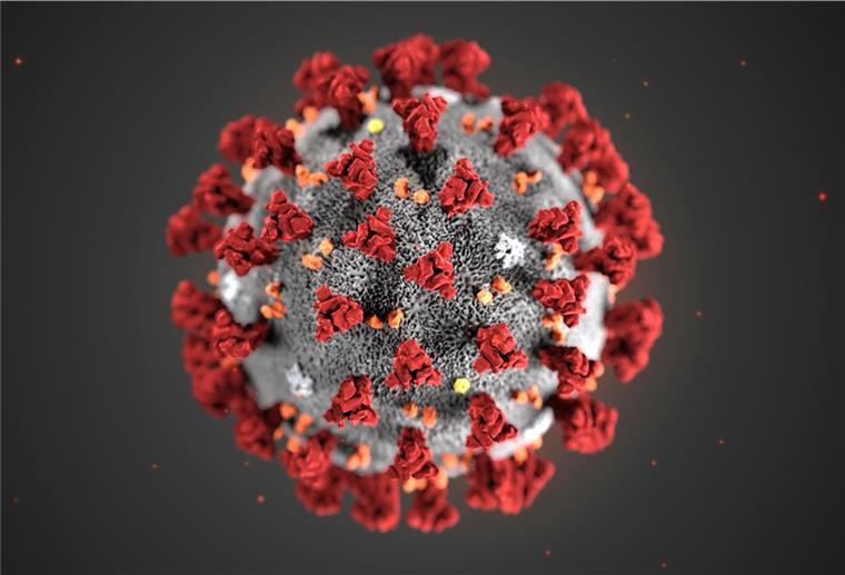 Im Landkreis Cuxhaven stecken sich immer weniger Menschen mit dem Coronavirus an.