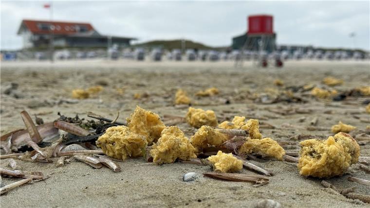 Im Mai wurden schon einmal wachsartige Klumpen am Strand von Norderney angespült. (Archivbild)