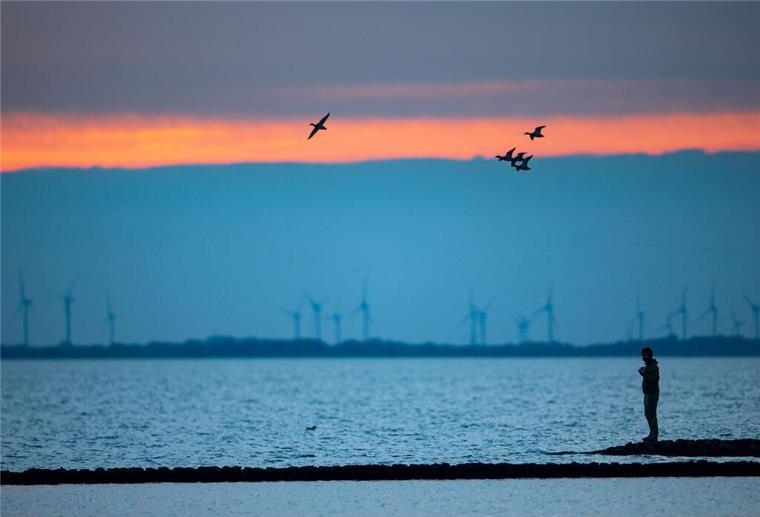 Wer kurzfristig in den anstehenden Herbstferien verreisen will, hat gute Chancen, an der Küste, in d Im Nationalpark Niedersächsisches Wattenmeer beginnen bald die Zugvogeltage. (Archivbild)
