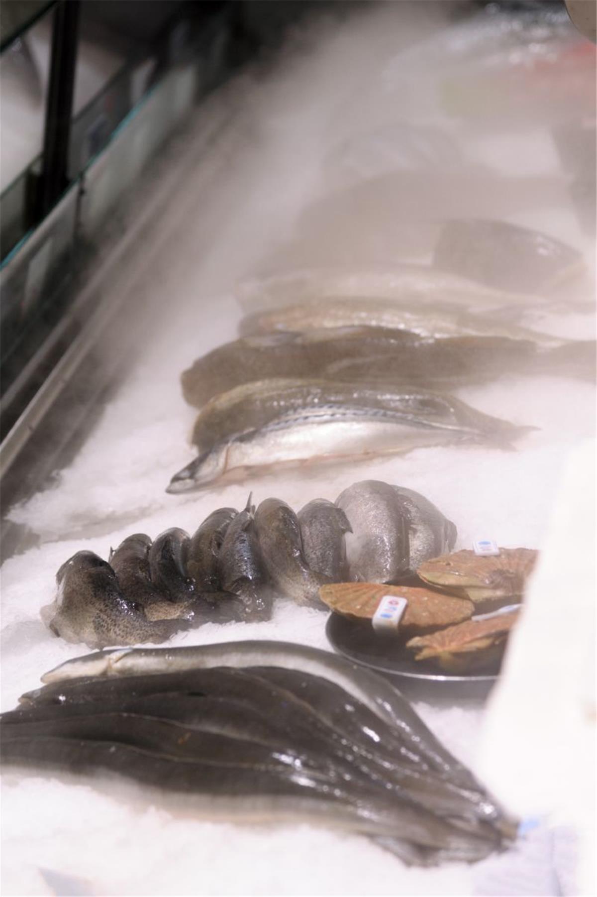 Bremerhavener Kult-Imbiss setzt auf neuartige Fischkühlung Im neuen Kühltresen wird der Fisch mit einem sehr feinen Nebel frisch gehalten.