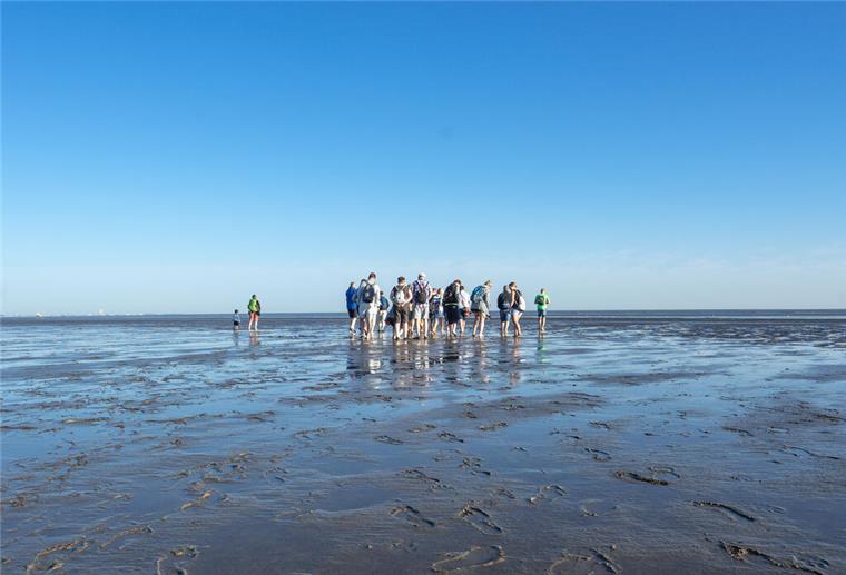 Das Nordseebad Otterndorf entdecken Menschen im Watt.