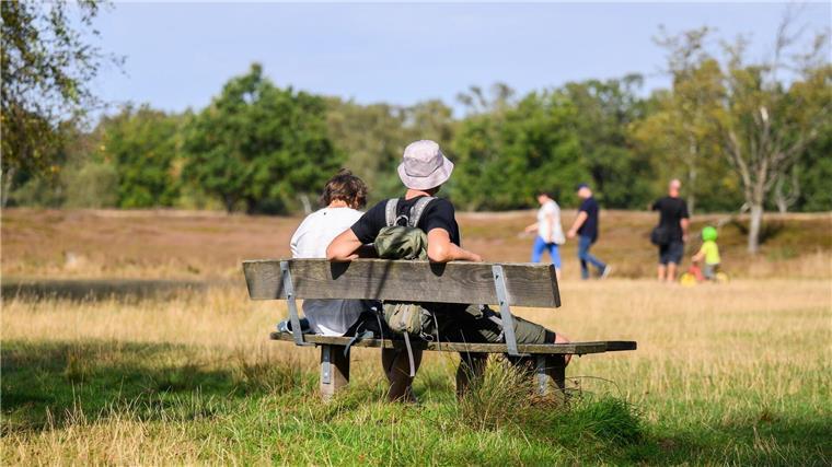 Im Pietzmoor in der Lüneburger Heide sollten Wanderer auf Schlangen achten.