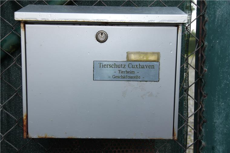 Im Postkasten vom Tierheim Cuxhaven entdeckte der neue Vorstand Rechnungen, die noch nicht einmal geöffnet worden waren.