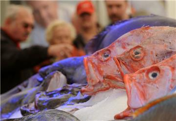 Im Schaufenster Fischereihafen dreht sich alles um Fisch.