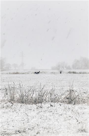 Im Schnee geht die Tarnung schnell verloren. Foto Hübner