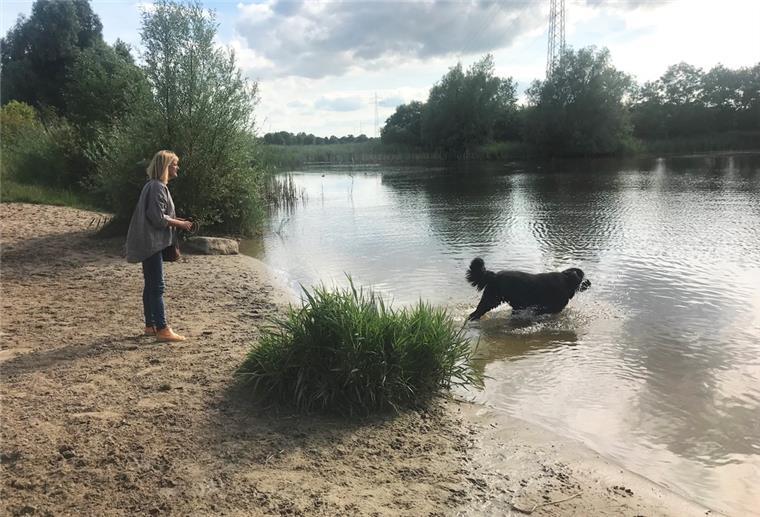 Nordenham: Ein Park für Sportler und Hunde Hund läuft ins Wasser