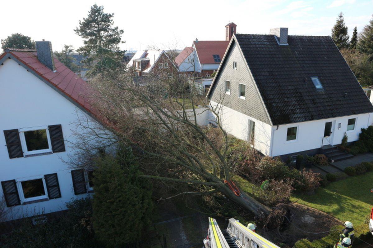 Geestland: Sturm und Brände fordern die Feuerwehr Langen Im Sickviertel in Langen ist am Samstag ein Baum auf ein Haus gefallen.