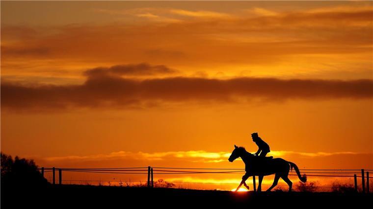 Von besonderen Pferden und ihren klangvollen Namen Im Sonnenuntergang reitet ein Pferd mit Reiter von rechts nach links.