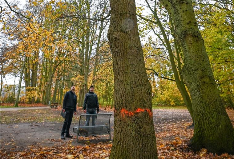 Joggen mit Hindernissen in Speckenbüttel Im Speckenbütteler Park wird die Joggingbahn aufgearbeitet. Foto Scheschonka