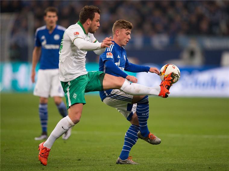 Bargfrede fällt mit Meniskusriss mindestens zwei Monate aus Im Spiel gegen Schalke hat sich Bremens Philipp Bargfrede (hier im Zweikampf mit Max Meyer, rechts) verletzt. Er fällt mit einer Knieverletzung länger aus.