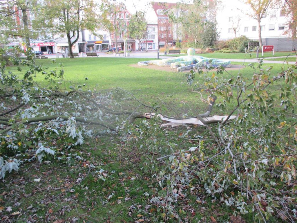 Im Stadtpark sind Äste abgebrochen.