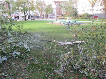 Im Stadtpark sind Äste abgebrochen.