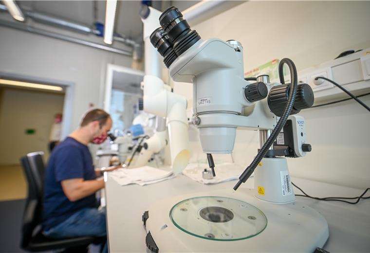 Thünen-Institut: Allein im Forschungslabor Im Thünen-Institut für Seefischerei darf wegen Corona nur eine Person pro Labor arbeiten.