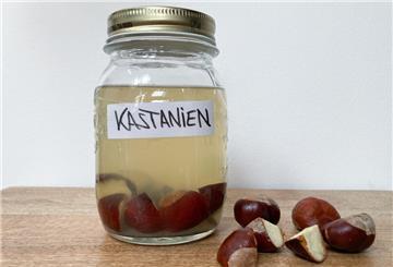 Ein Glas mit Kastanien und Wasser.