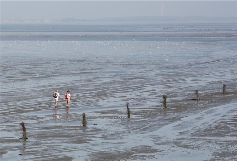 Cuxhaven: Pferd stirbt bei Kutschunfall im Watt Im Watt vor Cuxhaven-Sahlenburg ist ein Pferd ertrunken.