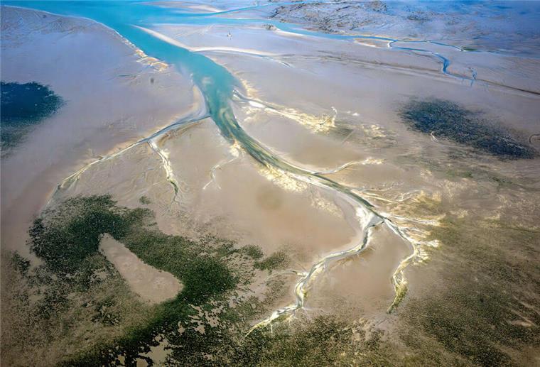 Kippt das Ökosystem? Artenvielfalt in der Nordsee dramatisch im Wandel Das Luftfoto zeigt das Wattenmeer. Im Wattenmeer der Nordsee schrumpfen viele heimische Arten – invasive gewinnen an Boden.