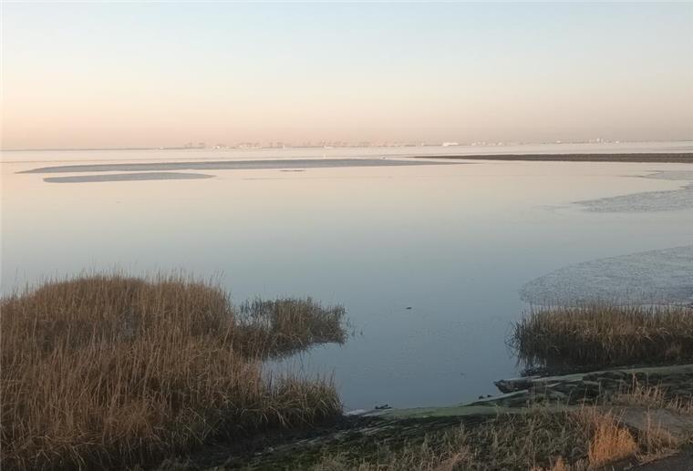 Wattenmeer