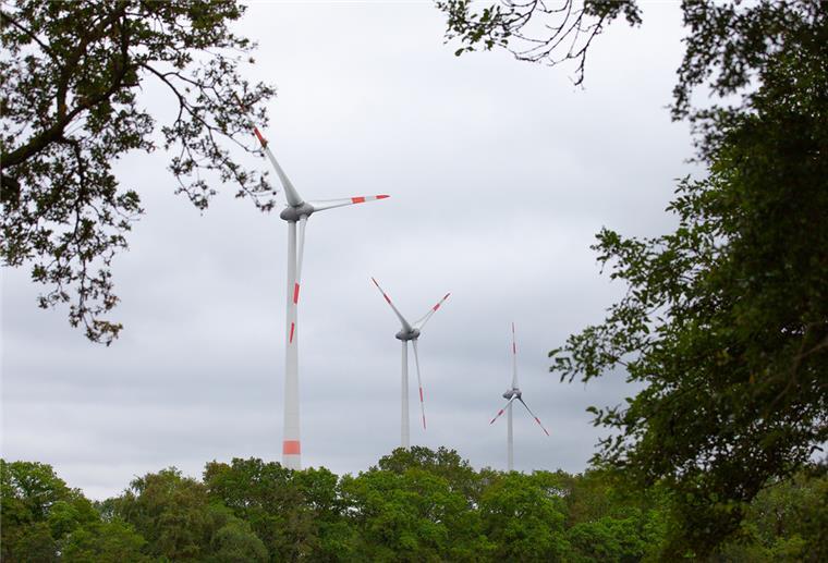 Im Windpark Sachsendingen in Dorum drehen sich 15 Windkraftanlagen. Sieben davon stammen aus dem Jahr 2000, sie sollen durch leistungsstärkere Anlagen ersetzt werden.