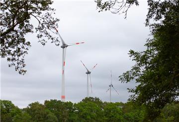 Im Windpark Sachsendingen in Dorum drehen sich 15 Windkraftanlagen. Sieben davon stammen aus dem Jahr 2000, sie sollen durch leistungsstärkere Anlagen ersetzt werden.
