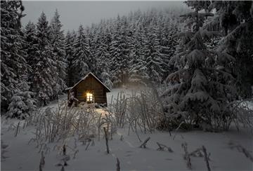 Beleuchtetes Haus im Wald