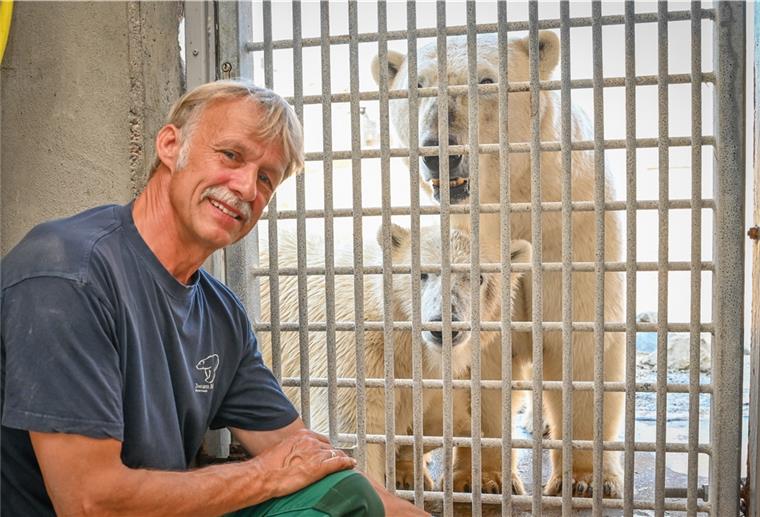 Ruhestand nach 33 Jahren Zoo am Meer Bremerhaven Im Zoo am Meer geht der Tierpfleger Frank Schlepps Ende August in den Ruhestand und muss Eisbärin Valeska mit ihren Kinder Anna und Elsa zurücklassen. Foto Scheschonka