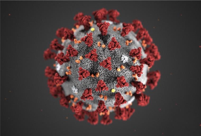Vier weitere Todesfälle mit Corona im Landkreis Im Zusammenhang mit dem Coronavirus gibt es vier weitere Todesfälle im Landkreis Rotenburg. Außerdem wurden seit Heiligabend 50 Neuinfektionen registriert.