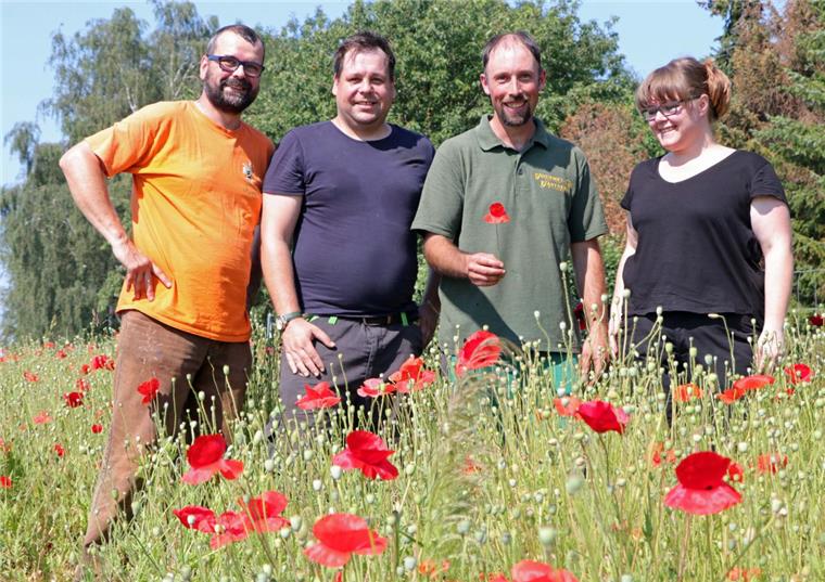 Hatzte: Bienen und Blumen profitieren von Gärtnern und Imkern Imker Markus Roose (von links), Mitarbeiter Daniel Will, Gärtner Torsten Brunkhorst und Imkerin Annika Roose haben eine respektvolle Zusammenarbeit aufgebaut.