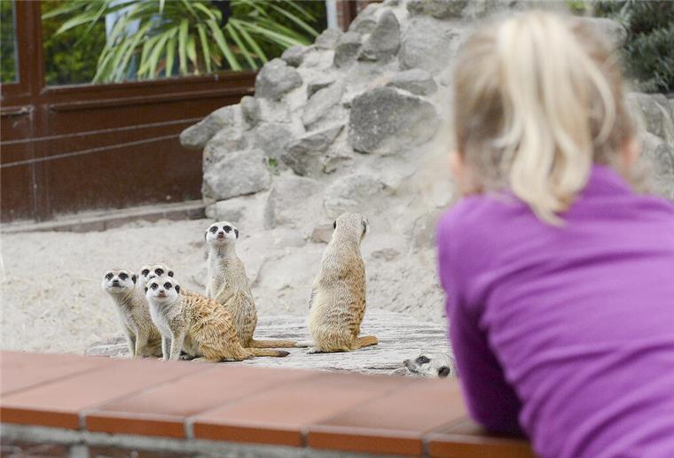 Jaderpark, der Tier- und Freizeitpark für die ganze Familie Jaderpark