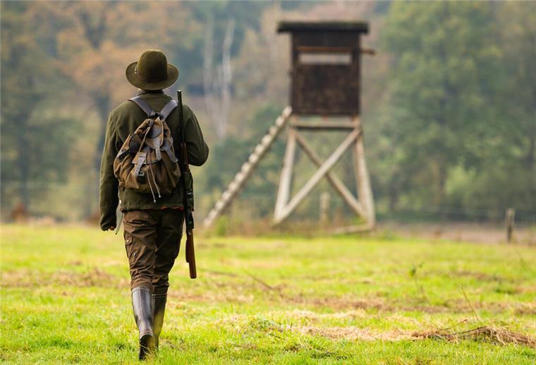 Rekordzahl erreicht! So viele Jäger gibt es mittlerweile in Deutschland Eine Jägerin geht mit ihrer Bockbüchsflinte zu einem Hochsitz.
