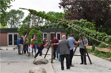 Immer mehr Vereinen fehlen die Helfer, um wie hier an der Grundschule Rodenkirchen einen Pfingstbaum aufzustellen.