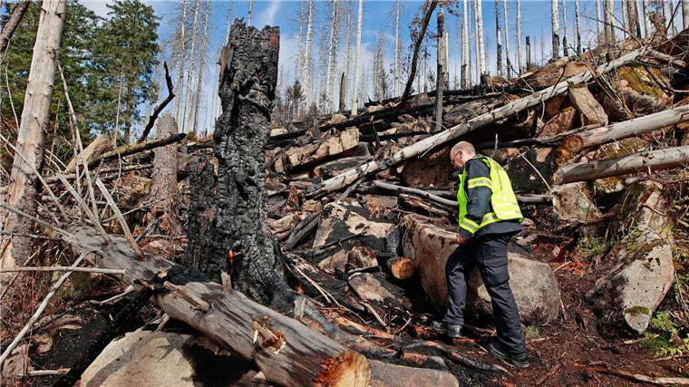 Wind facht kleinere Feuer am Brocken wieder an Immer wieder werden Glutnester am Brocken entdeckt. Der Einsatz der Feuerwehr ist noch nicht beendet.