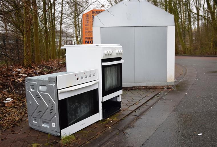 Nordenham: Mit „Vermüllung“ soll es vorbei sein Immer wieder wird an Glascontainern illegal Sperrmüll entsorgt, so wie es dieses Archivbild zeigt. Die SPD wünscht sich auch dagegen eine Müll-Offensive. Foto: Kühnemuth