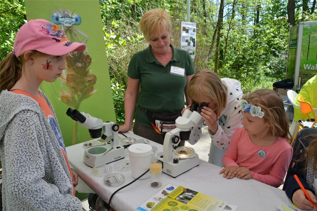 Impressionen vom langen Tag der StadtNatur. Foto: Scheiter