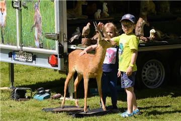 Impressionen vom langen Tag der StadtNatur. Foto: Scheiter