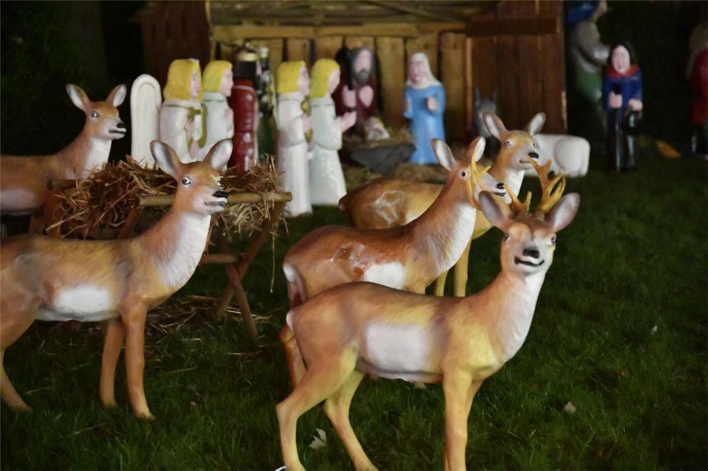 Impressionen vom Weihnachtsmarkt in Bremerhaven.