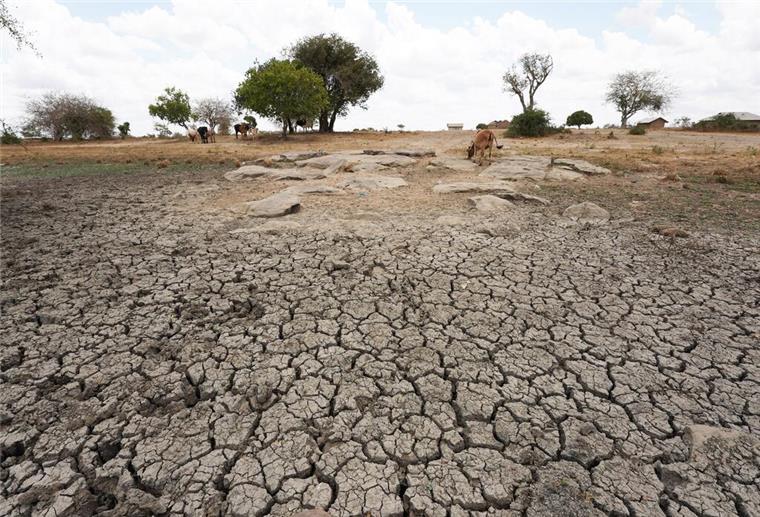 Fachforum in Bremerhaven: Was tun, wenn Wasser knapp wird? Dürre in Afrika