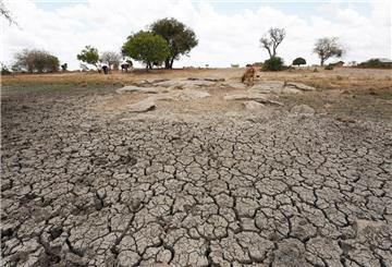 Dürre in Afrika