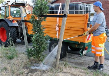 In aller Herrgottsfrühe ist Bauhof-Mitarbeiter Klaus Otten mit seinem „Tankzug“ ausgerückt und gibt den jungen Säuleneichen zwischen Fußweg und EVB-Bahnschiene am Nullmoor einen kräftigen Schluck aus dem Wassertank. Vor zwei Jahren wucherten an dieser Stelle noch hohe Birken ungezügelt in den Himmel.