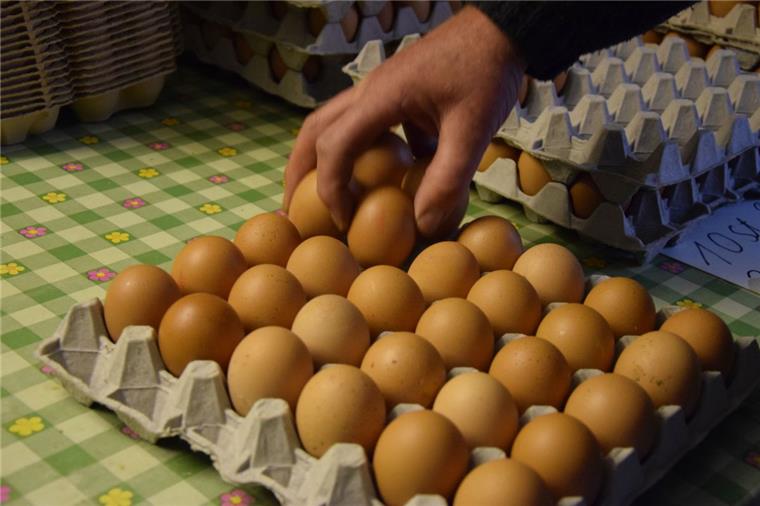 Darum nehmen Supermärkte in Niedersachsen Bio-Eier aus dem Regal In Bio-Eiern, die in niedersächsischen Supermärkten verkauft wurden, wurden Salmonellen nachgewiesen.