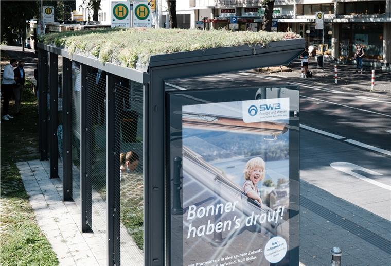 Zwei Wartehäuschen bekommen Gründächer In Bonn gibt es bereits Gründächer auf Wartehäuschen der Busse, das frühere Pilotprojekt der Firma Ströer.