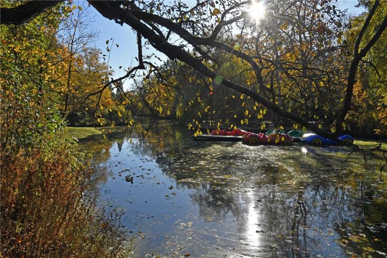 Der Herbst in Bremerhaven und umzu bleibt mild In Bremerhaven (hier im Bürgerpark) und umzu bleibt der Herbst mild.