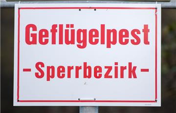In Bremerhaven ist der erste Fall von Vogelgrippe aufgetreten. Ein Sperrbezirk wurde eingerichtet.