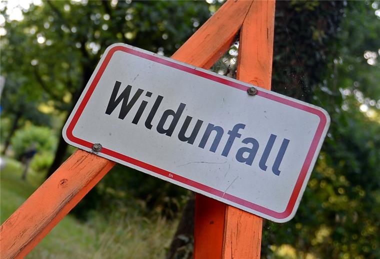 Surheide: Reh läuft vor Auto und stirbt In Bremerhaven-Surheide hat es einen Wildunfall gegeben.