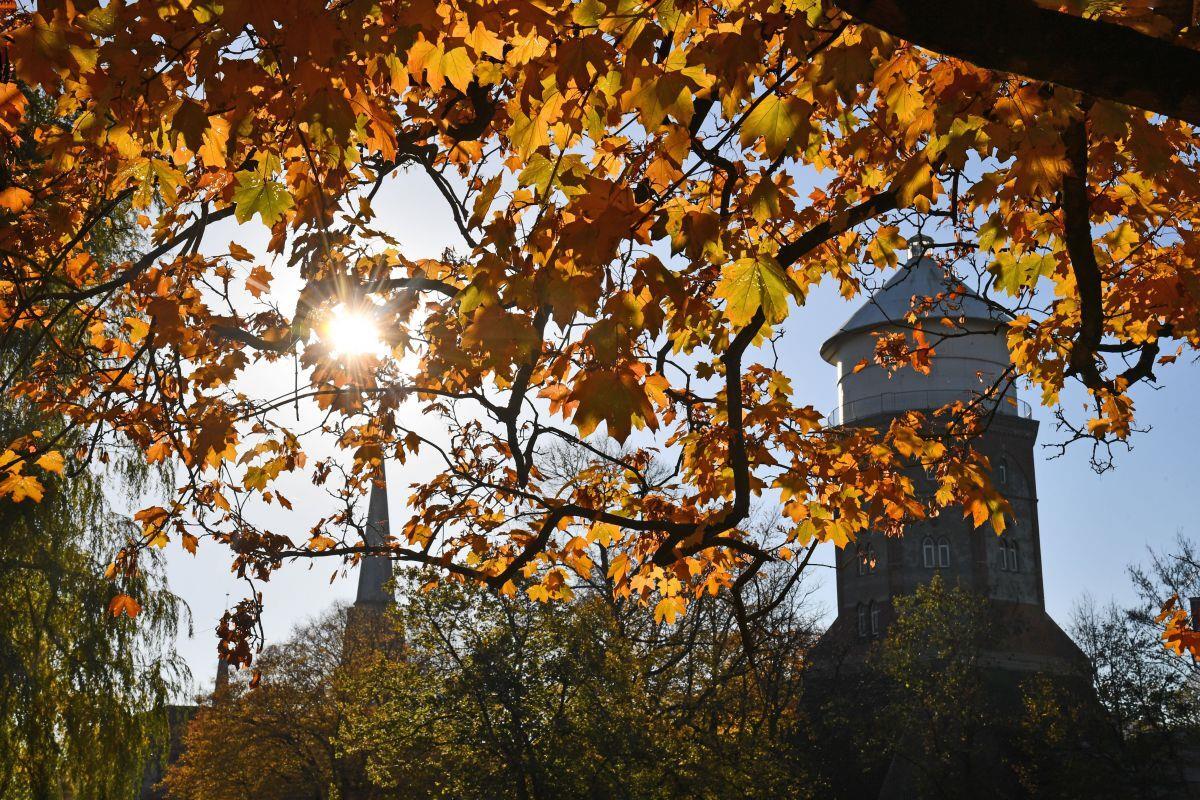 In Bremerhaven und umzu kann im goldenen Herbst Sonne getankt werden.