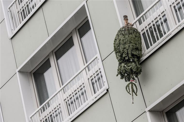 Bremerhaven: Wann wird mein Weihnachtsbaum abgeholt? In Bremerhaven wird der Weihnachtsbaum (Symbolfoto) von der Entsorgungsgesellschaft abgeholt.