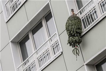 In Bremerhaven wird der Weihnachtsbaum (Symbolfoto) von der Entsorgungsgesellschaft abgeholt.