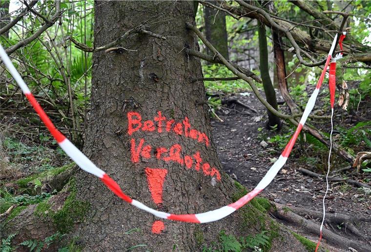 Cuxhaven: Noch immer sind viele Rüstungsaltlasten im Boden Auf einem Baum vor der ehemalige Sprengstoff-Fabrik "Werk Tanne" steht in roter Schrift "Betreten verboten!"