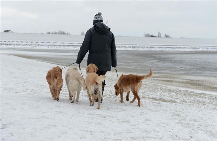 Mehr Strandflächen für Hundebesitzer in Cuxhaven geplant In Cuxhaven sind weitere Hundestrände geplant.