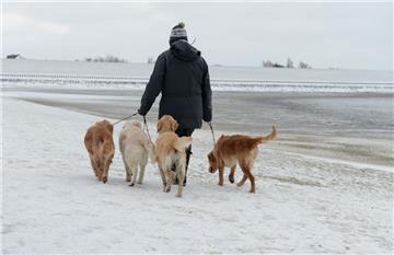 In Cuxhaven sind weitere Hundestrände geplant. 