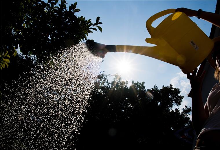 Wasserversorger appelliert an Verbraucher: Bitte seid sparsam In dem sehr trockenen Frühjahr wird laut Wasserverband Wesermünde überdurchschnittlich viel Trinkwasser verbraucht. Langsam wird es knapp.